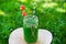 Spinach green smoothie as healthy summer drink.