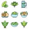 Spinach icon set line color vector