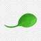 Spinach leaf icon, cartoon style