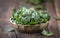 Spinach leaves.Fresh spinach leaves in retro bowl on oak wood board.