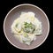 Spinach ravioli with thick creamy sauce shot from above, isolated