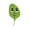 Spinach sad Emoji. Green leaves sorrowful emotion isolated