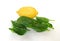 Spinach Spinacia oleracea leaves and lemon on table