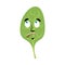 Spinach Surprised Emoji. Green leaves astonished emotion isolate