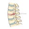 Spinal disc herniation diagram medical science