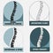 Spine diagnosis emblem, human anatomy, clinic icon, diagnostic center