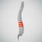 Spine Diagnostics Symbol Design