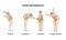 Spine movements with flexion, extension and rotation poses outline diagram