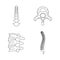 Spine orthopedic vertebra icons set, outline style