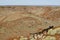 Spinifex Plants - Outback Australia