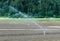 Spinkler and irrigation system on a freshly planted agricultural field