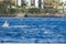 spinner dolphins swimming in the rippling blue waters of the Pacific Ocean off the coast of Oahu in Kapolei Hawaii