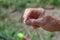 spinner with a triple hook for fishing in the hand. Nature