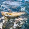 Spinning fishing (lure fishing) trout in lakes of Scandinavia.