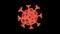 Spinning red coronavirus Animation. 2D animation png with alpha channel.