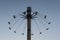 Spinning swing carousel in amusement park