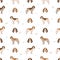 Spinone Italiano coat colors, different poses seamless pattern