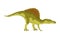 Spinosaurus dinosaur flat icon. Colored isolated prehistoric reptile monster on white background. Vector cartoon dino
