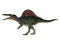 Spinosaurus Dinosaur Side Profile