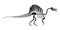 Spinosaurus skeleton . Silhouette dinosaurs . Side view . Vector
