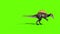 Spinosaurus Walks Dinosaurs Side Green Sceen 3D Rendering Animation