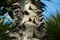 Spiny bark of kapok tree. Thorn tree of Bombax ceiba closeup sharp thorn at tree