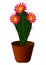Spiny flowering cactus