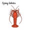 Spiny lobster.