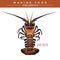 Spiny Lobster. Marine Food