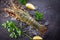 spiny lobster seafood on ice, fresh lobster or rock lobster with herb and spices lemon coriander parsley on dark background, raw