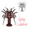 Spiny lobster vector ocean seafood icon