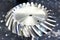 Spiral bevel gear