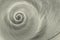 Spiral black and white spiral