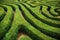 A spiral confusing hedgerow spiral maze