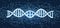 Spiral DNA molecules. Structure of the genetic code