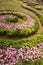 Spiral flower garden