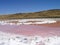 Spiral Jetty inner circles and pink water