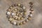 A spiral made of snail shells on stone background