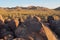 Spiral petroglyph on Signal Hill in Saguaro National Park, Arizona.