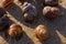 Spiral seashells on the sand