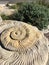 Spiral shell concrete seaside sculpture