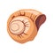 Spiral snail house or shell, an empty shell of a sea mollusk. Colorful cartoon illustration