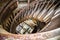 Spiral staircase metal bell tower