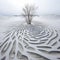 Spiral Tree In Snow: Captivating Land Art With Organic Shapes