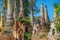 Spires of Burmese Buddhist Pagodas in Myanmar Burma