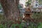 SPIRIT HOUSE AND A TREE. Miniature house for guardian spirit. A dedicated structure to honor the guardians of the land that is