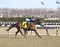 Spirit Lets Hearit winning at Aqueduct