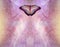 Spiritual Butterfly Holistic message memo background