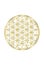 Spiritual Flower of Life Gold Illustration 1