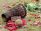 Spiritual indigenous ceremony Chakana. Ecuador